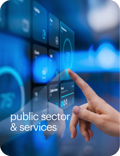 consulenza it public sector