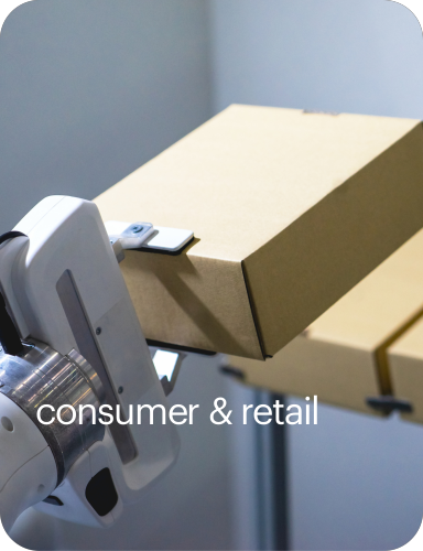 consulenza it consumer e retail